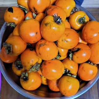 농부쑤니님의 [팜춘문예] 짧은 시 쓰기 · 참여글 작성글 사진