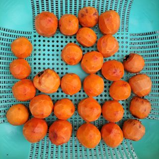 농부쑤니님의 [팜춘문예] 짧은 시 쓰기 · 참여글 작성글 사진