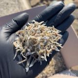 팜모닝 · 게시글 이미지