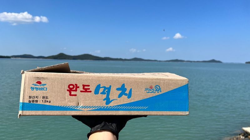 목포 물좋은수산님의 장터 판매 상품 [햇지리(지가리) 멸치] 첨부 사진