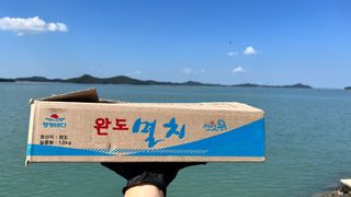 목포 물좋은수산님의 작성글 사진