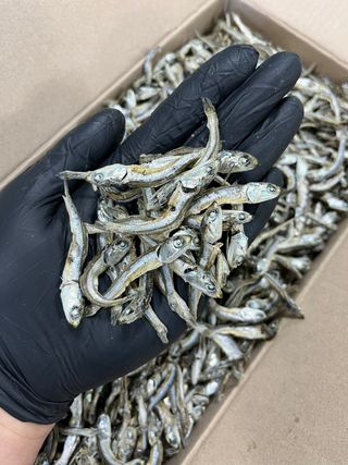 목포 물좋은수산님의 작성글 사진