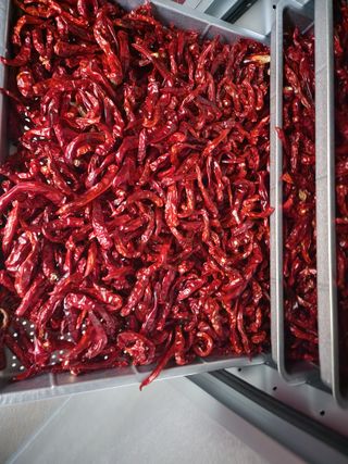 꽃순이네님의 고추 · 수확 작성글 사진