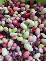 팜모닝 [팜춘문예] 짧은 시 쓰기·참여글 게시글 이미지