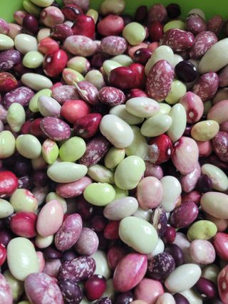 박산숙농부님의 [팜춘문예] 짧은 시 쓰기 · 참여글 작성글 사진