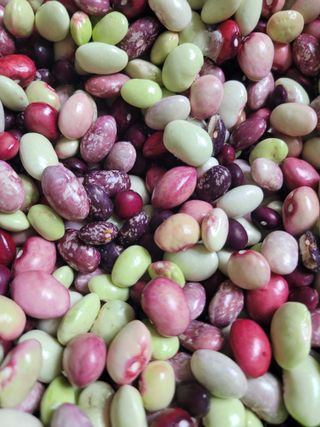 박산숙농부님의 [팜춘문예] 짧은 시 쓰기 · 참여글 작성글 사진