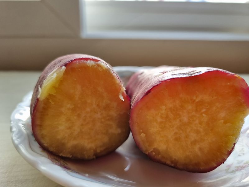 장터 상품 [해남 꿀밤고구마] 썸네일