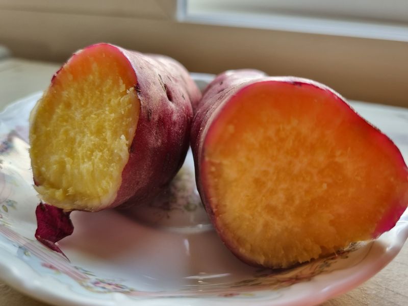 신현옥님의 장터 판매 상품 [해남 꿀밤고구마] 첨부 사진