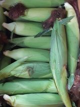 팜모닝 [팜춘문예] 짧은 시 쓰기·참여글 게시글 이미지