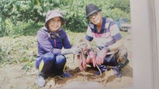 이명신님의 [팜춘문예] 짧은 시 쓰기 · 참여글 작성글 사진