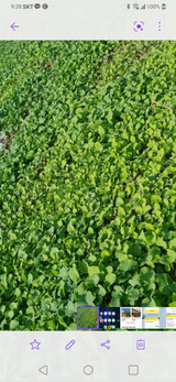 팜모닝 [팜춘문예] 짧은 시 쓰기·참여글 게시글 이미지