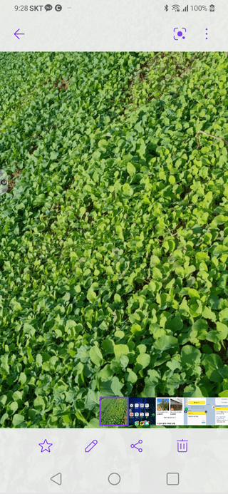 농부.금리나님의 [팜춘문예] 짧은 시 쓰기 · 참여글 작성글 사진