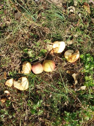 철남 김희곤님의 [팜춘문예] 짧은 시 쓰기 · 참여글 작성글 사진