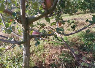 철남 김희곤님의 [팜춘문예] 짧은 시 쓰기 · 참여글 작성글 사진