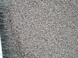 모두팜님의 작성글 사진