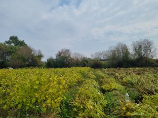 모두팜님의 작성글 사진