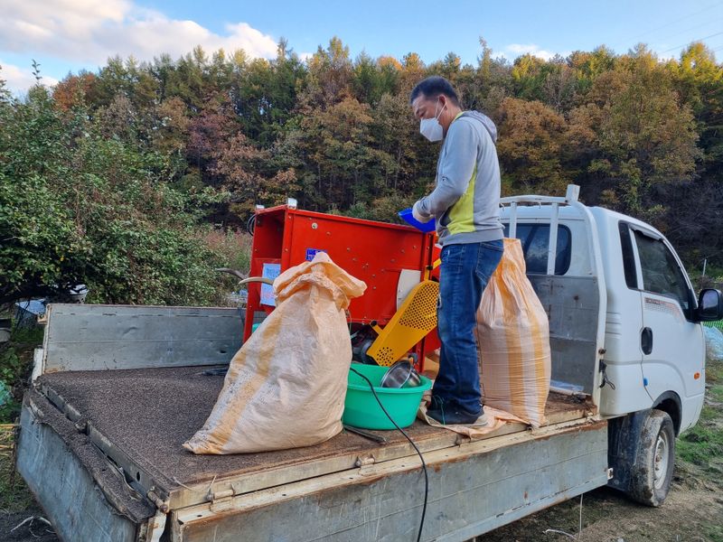 모두팜님의 장터 판매 상품 [햇들깨 판매 6k  판매완료] 첨부 사진