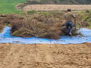 모두팜님의 작성글 사진