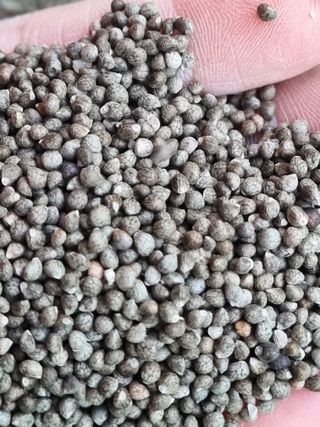 모두팜님의 작성글 사진