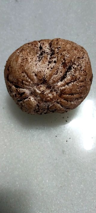 배추21924님의 매일매일 농사공부 · 자유게시판 작성글 사진