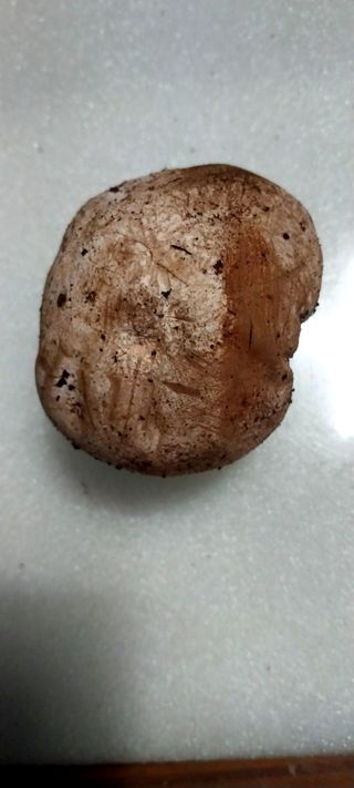 배추21924님의 매일매일 농사공부 · 자유게시판 작성글 사진