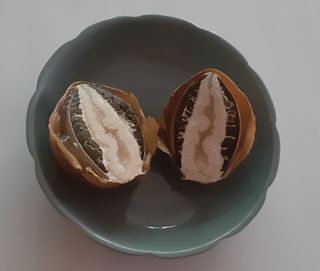 배추21924님의 매일매일 농사공부 · 자유게시판 작성글 사진