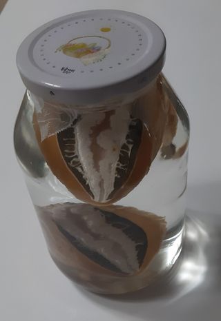 배추21924님의 매일매일 농사공부 · 자유게시판 작성글 사진