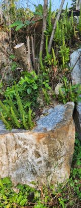 팜모닝 자유주제·자유게시판 게시글 이미지