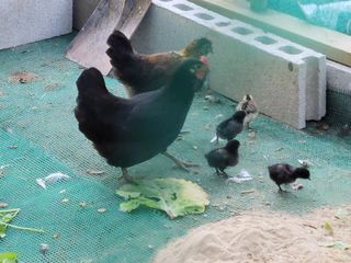 홍순강화모리님의 자유주제 · 자유게시판 작성글 사진