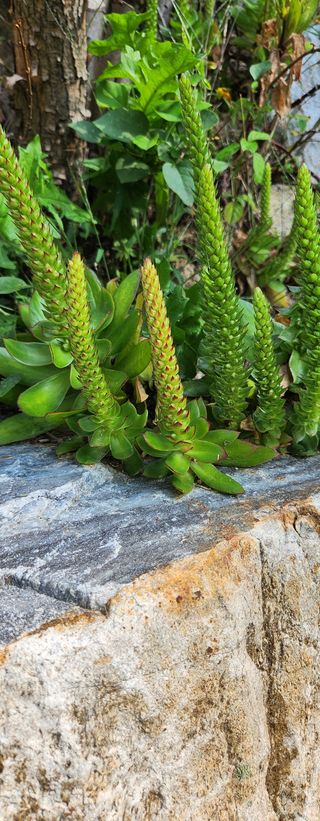 홍순강화모리님의 자유주제 · 자유게시판 작성글 사진