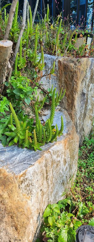 홍순강화모리님의 자유주제 · 자유게시판 작성글 사진