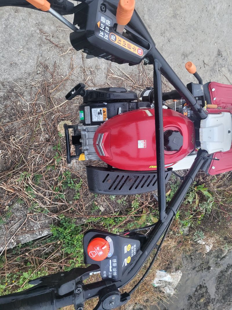 표고버섯6093님의 장터 판매 상품 [얀마관리기] 첨부 사진