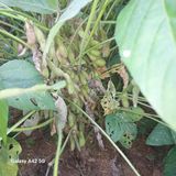 팜모닝 [팜춘문예] 짧은 시 쓰기·참여글 게시글 이미지