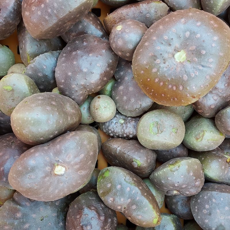 태일농산이정수님의 장터 판매 상품 [열매마 하늘마   1키로] 첨부 사진