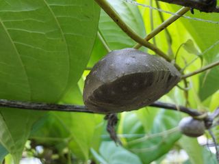 태일농산이정수님의 작성글 사진