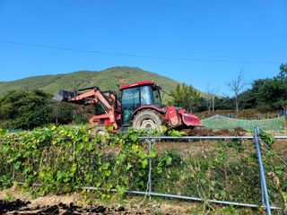 천지현황님의 마늘 · 파종작업 작성글 사진