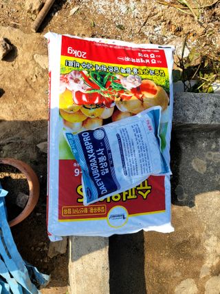 천지현황님의 마늘 · 파종작업 작성글 사진