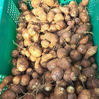 내수덕암리ㆍ홍경운님의 자유주제 · 자유게시판 작성글 사진