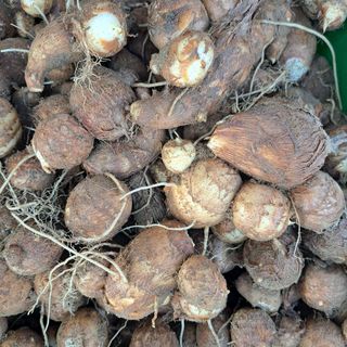 내수덕암리ㆍ홍경운님의 자유주제 · 자유게시판 작성글 사진