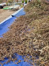 팜모닝 콩·영농일지 게시글 이미지