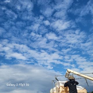 짱순이연속8월출석왕님의 벼 · 자유게시판 작성글 사진