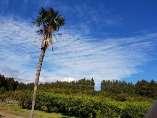 안영관님의 [팜춘문예] 짧은 시 쓰기 · 참여글 작성글 사진