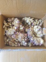 팜모닝 · 게시글 이미지