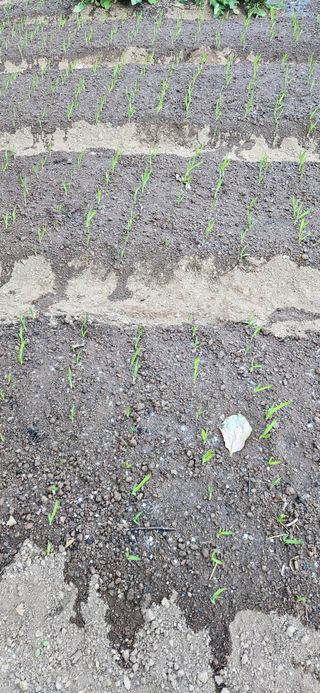 김둘점님의 자유주제 · 자유게시판 작성글 사진