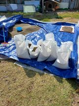 팜모닝 들깨·영농일지 게시글 이미지