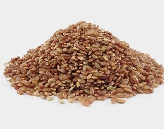 농부 임성훈님의 작성글 사진