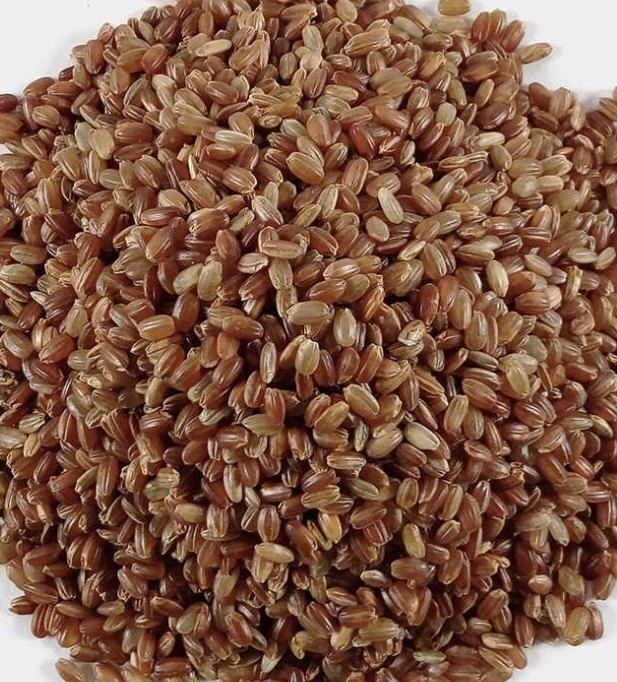 농부 임성훈님의 장터 판매 상품 [홍미 10kg] 첨부 사진