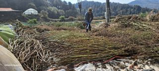 이명신님의 [팜춘문예] 짧은 시 쓰기 · 참여글 작성글 사진