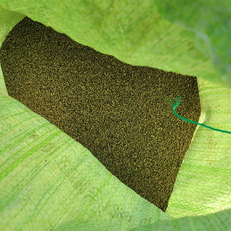 장터 상품 [햇듥깨 6kg. ] 썸네일