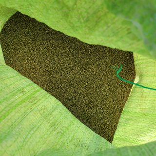 와룡산백곰님의 작성글 사진